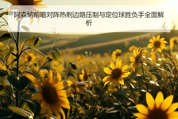 阿森纳前瞻对阵热刺边路压制与定位球胜负手全面解析