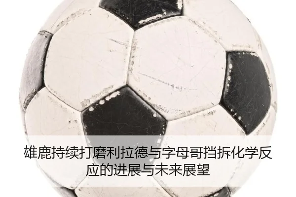 雄鹿持续打磨利拉德与字母哥挡拆化学反应的进展与未来展望 - kaiyun
